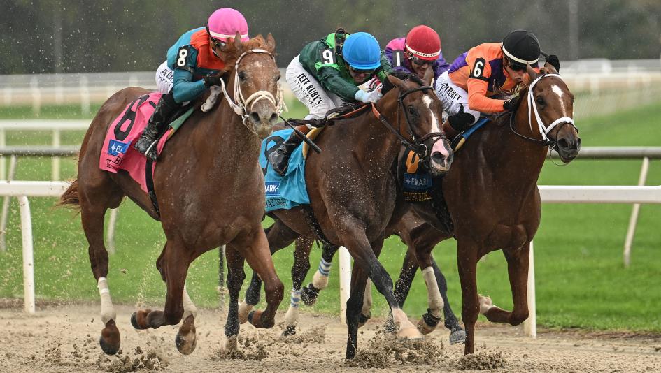 The Puma, 2026 Tampa Bay Derby, road to the Kentucky Derby